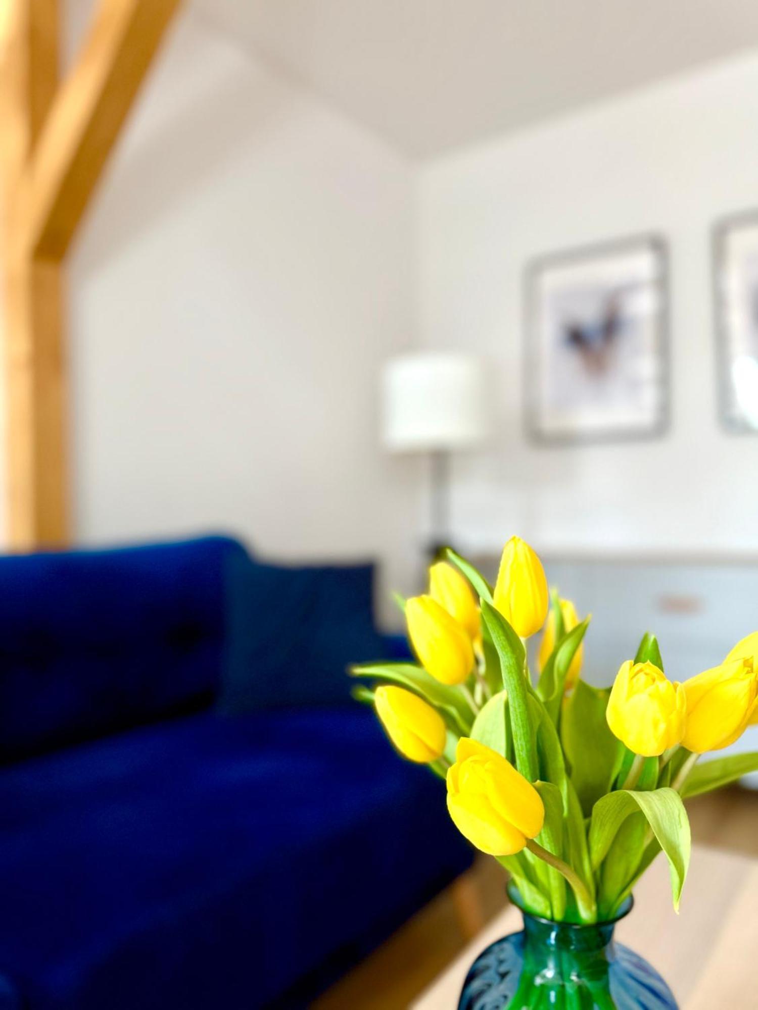 Apartament W Samym Sercu Miasta Z Darmowym Parkingiem Pod Zlotym Lwem -Hotel VI 克沃兹科 外观 照片
